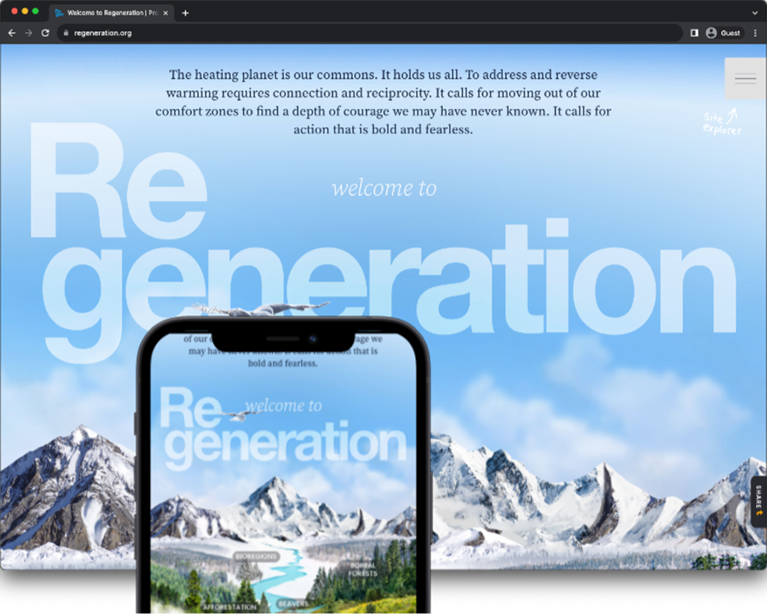 Regeneration website design process.